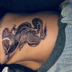 Meet your Posher, Ludilyn